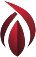 Logo Avancex